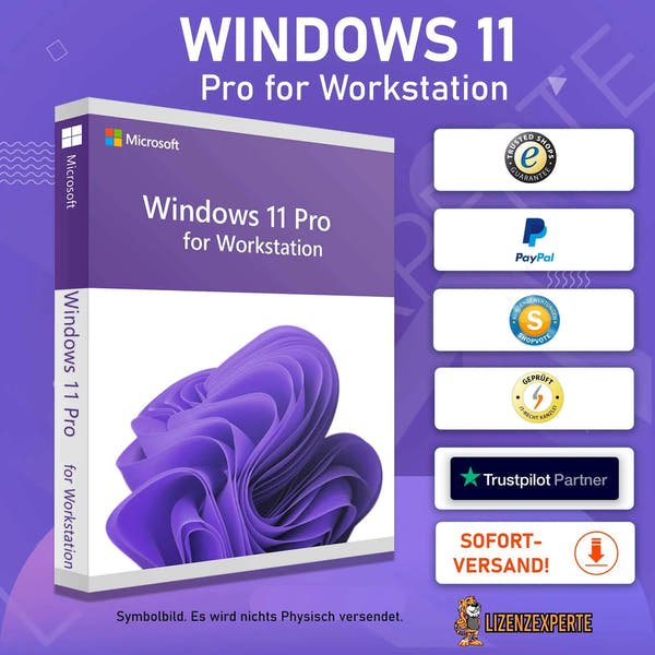 Windows 11 Pro for Workstation