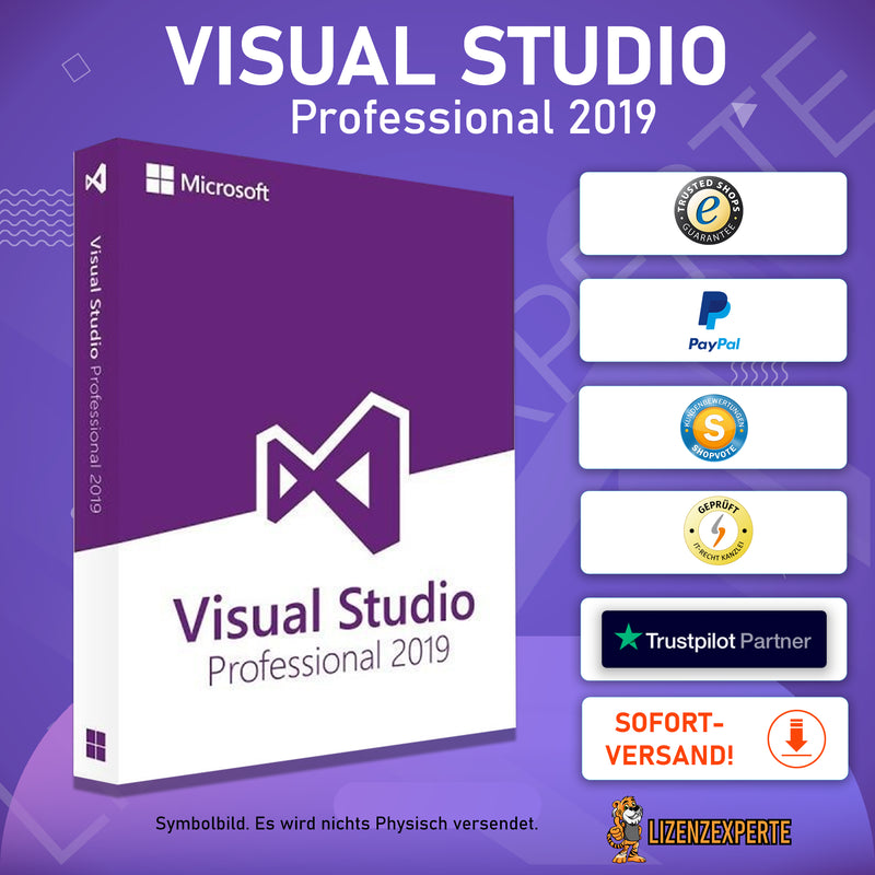 visual studio 2019 professional lizenz