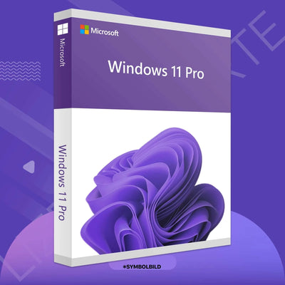 Windows 11 Professional