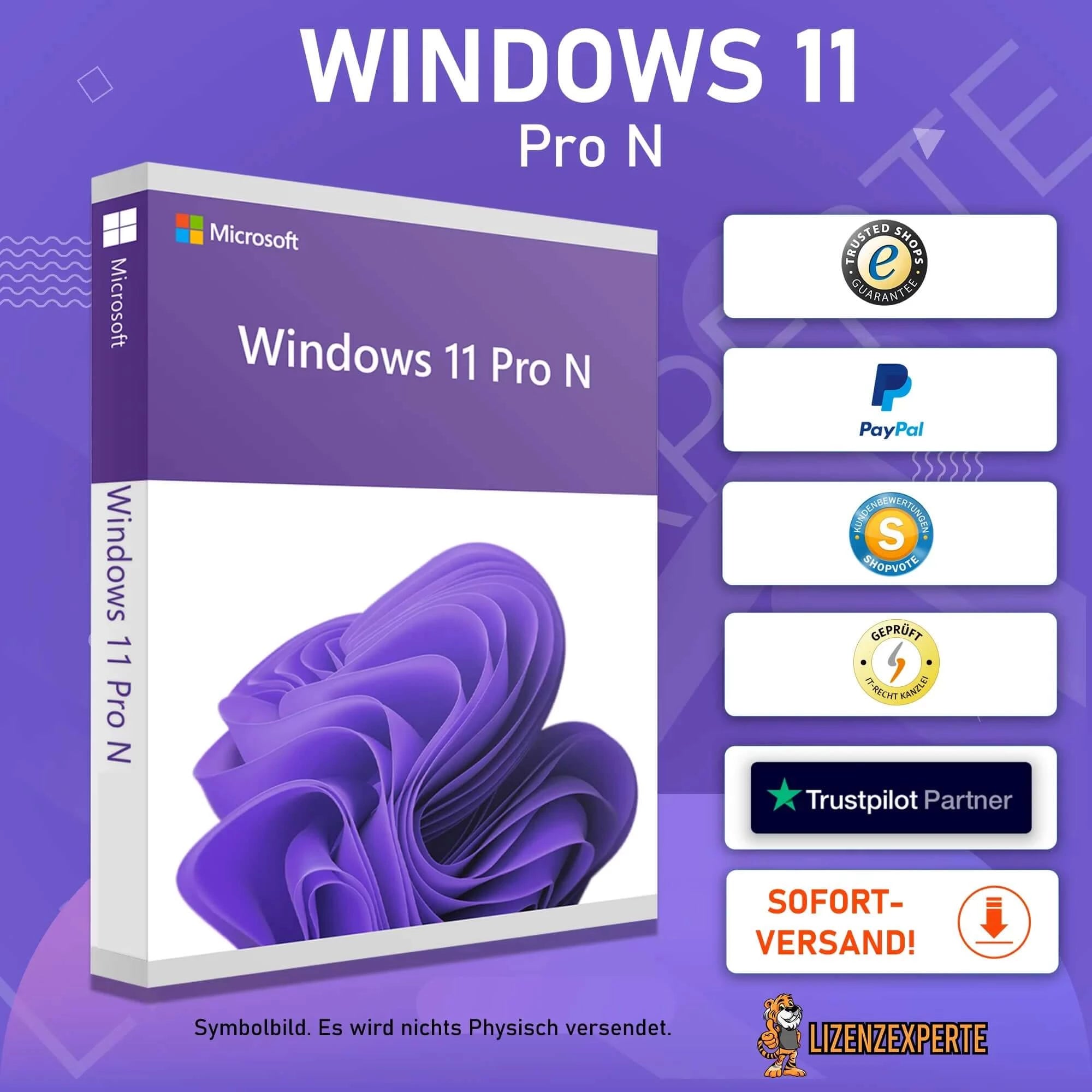 Windows 11 Pro N / Professional N Lizenzexperte.de